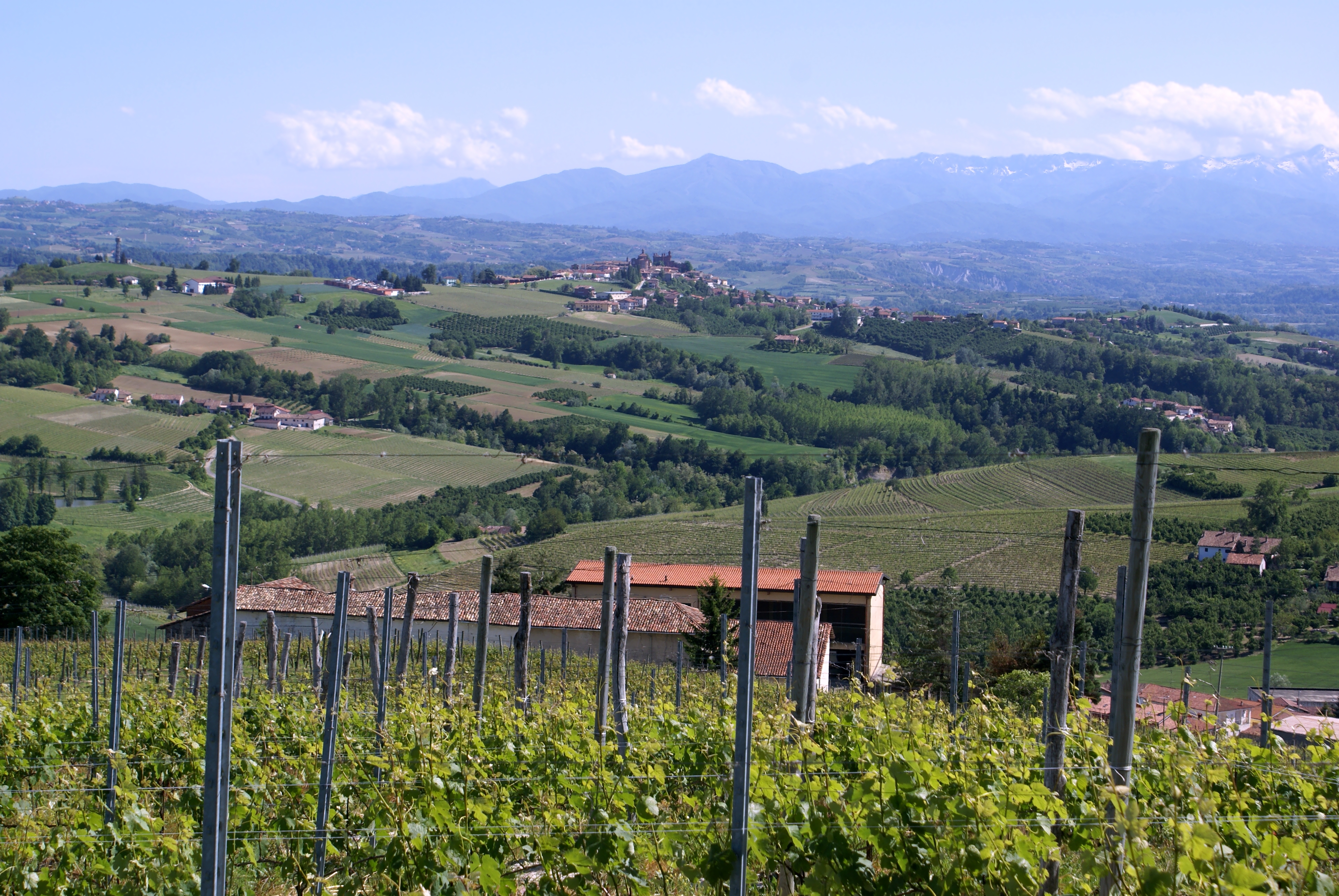 serradenari vineyards La morra Barolo Italy