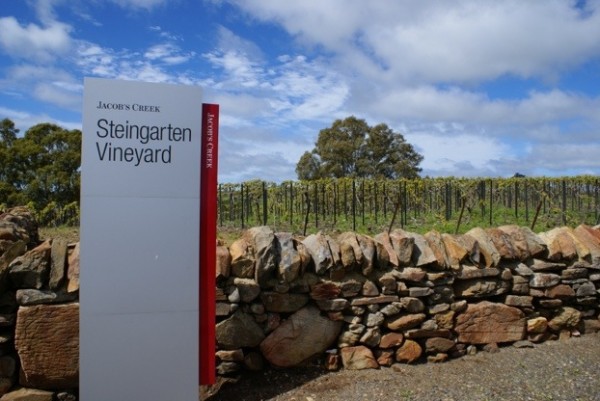 Steingarten: one of Australia’s leading vineyards. 