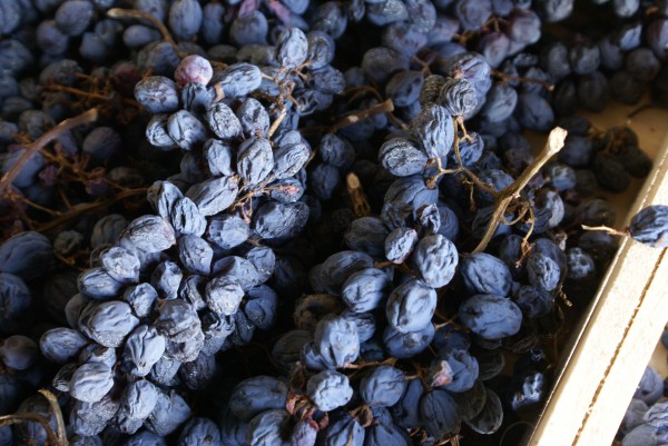 Amarone, a dry wine from raisined grape, is unique in the world.