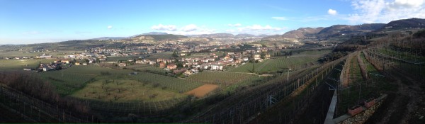 Negrar vineyard panorama