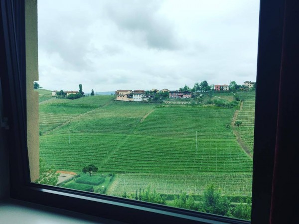 A tasting room with a view (to the cru of Ovello).