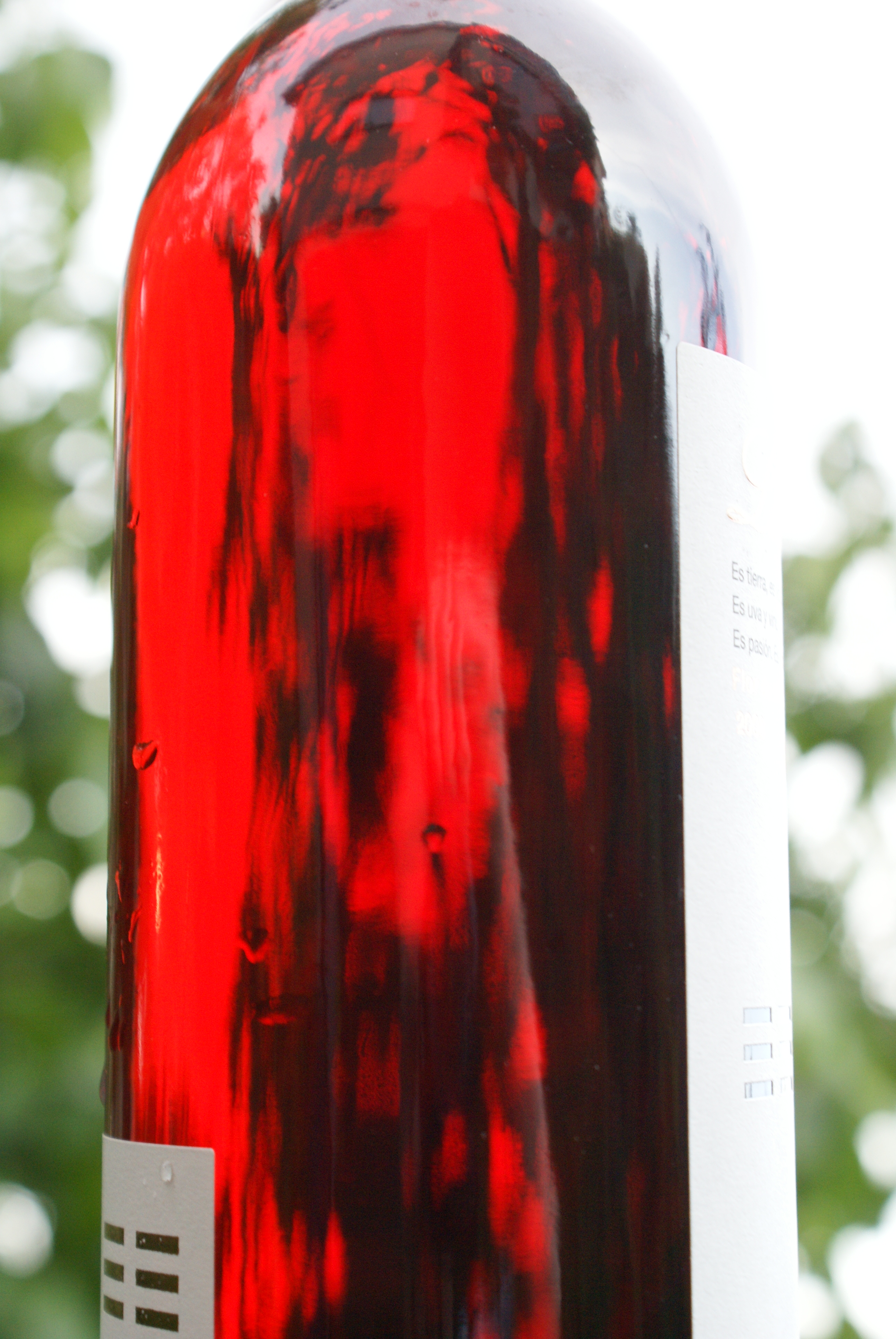 Laus Somontano Flor de Merlot Rosado 2008 Laus Somontano Flor de Merlot Rosado 2008