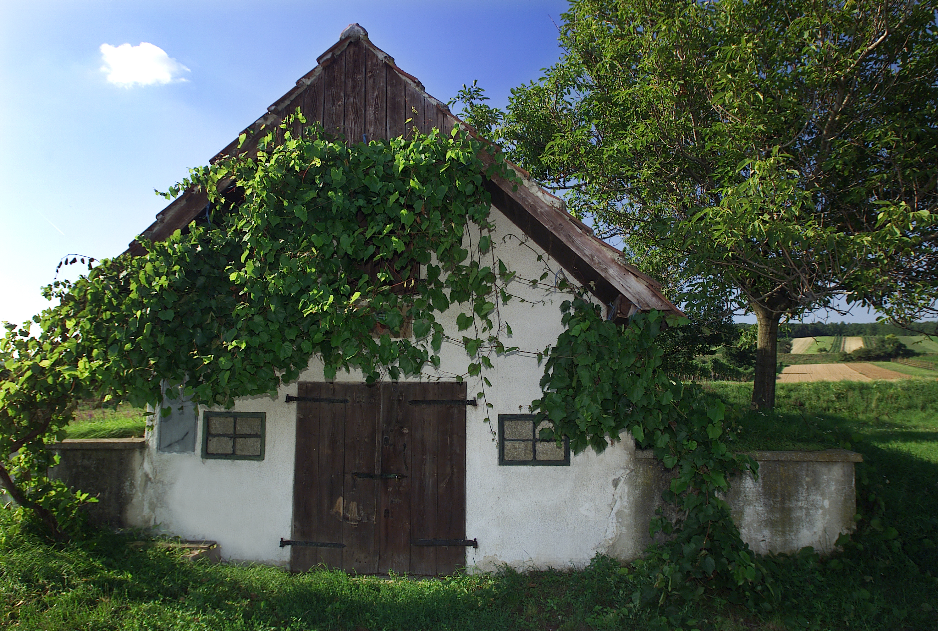 Sioło Prellenkirchen. / fot. Photographie Helmreich / Wine&Partners