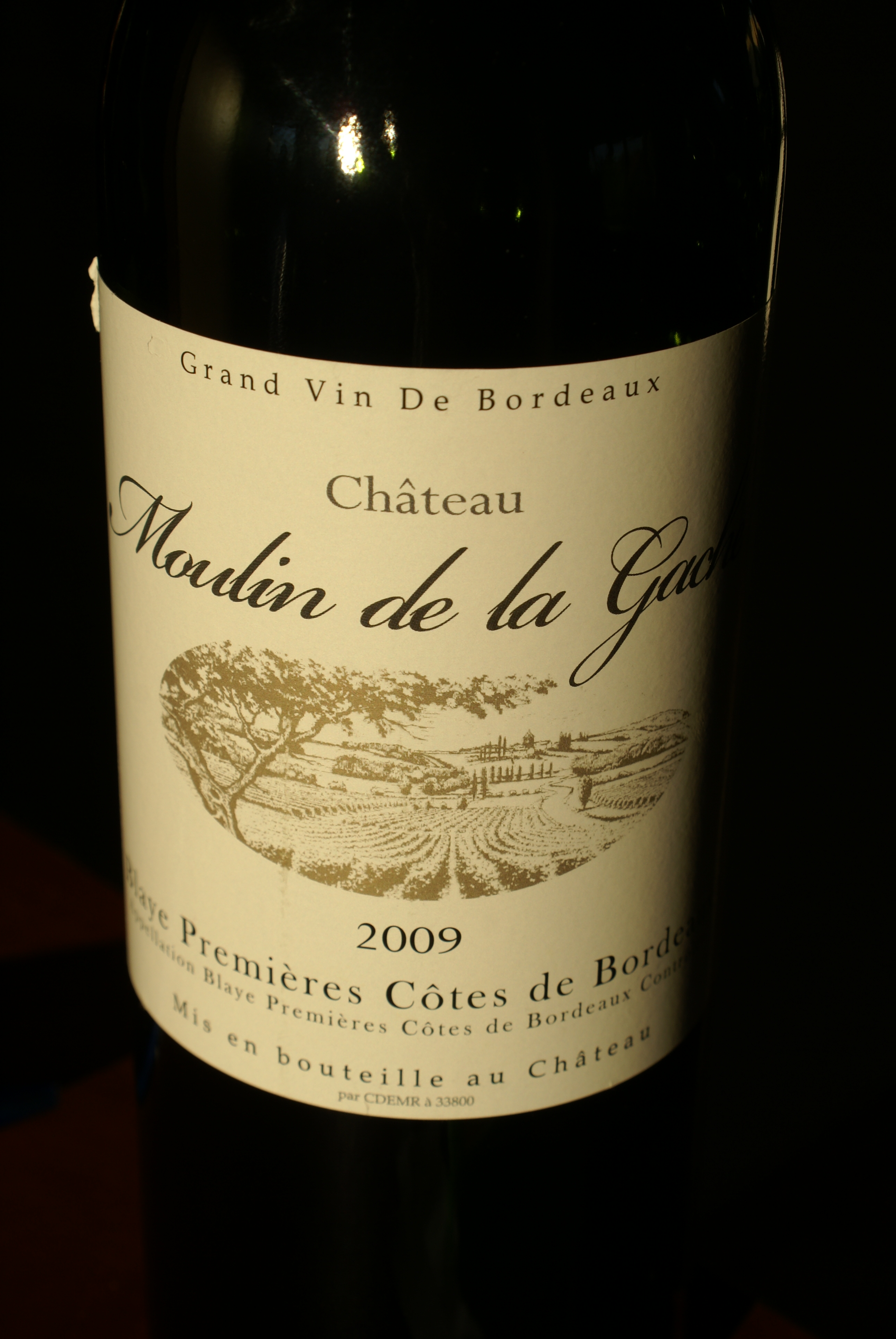 Château Moulin de la Gardette 2009