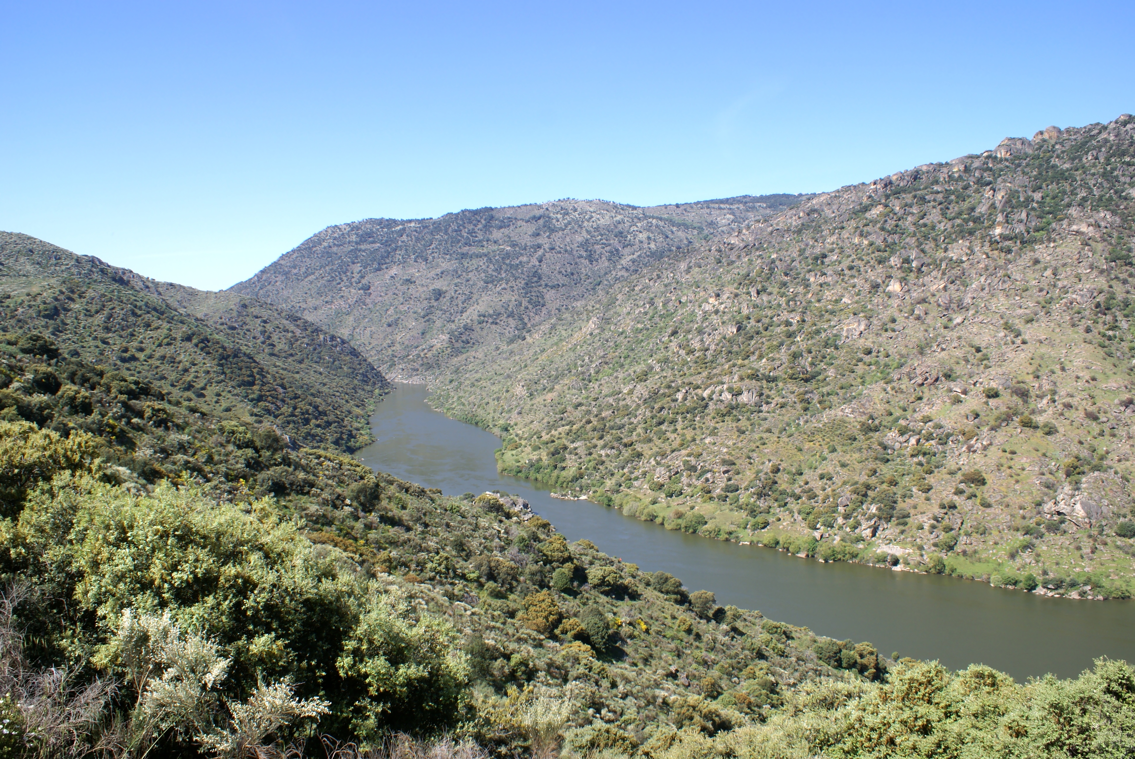Quinta do Vale Meão Douro Superior landscape