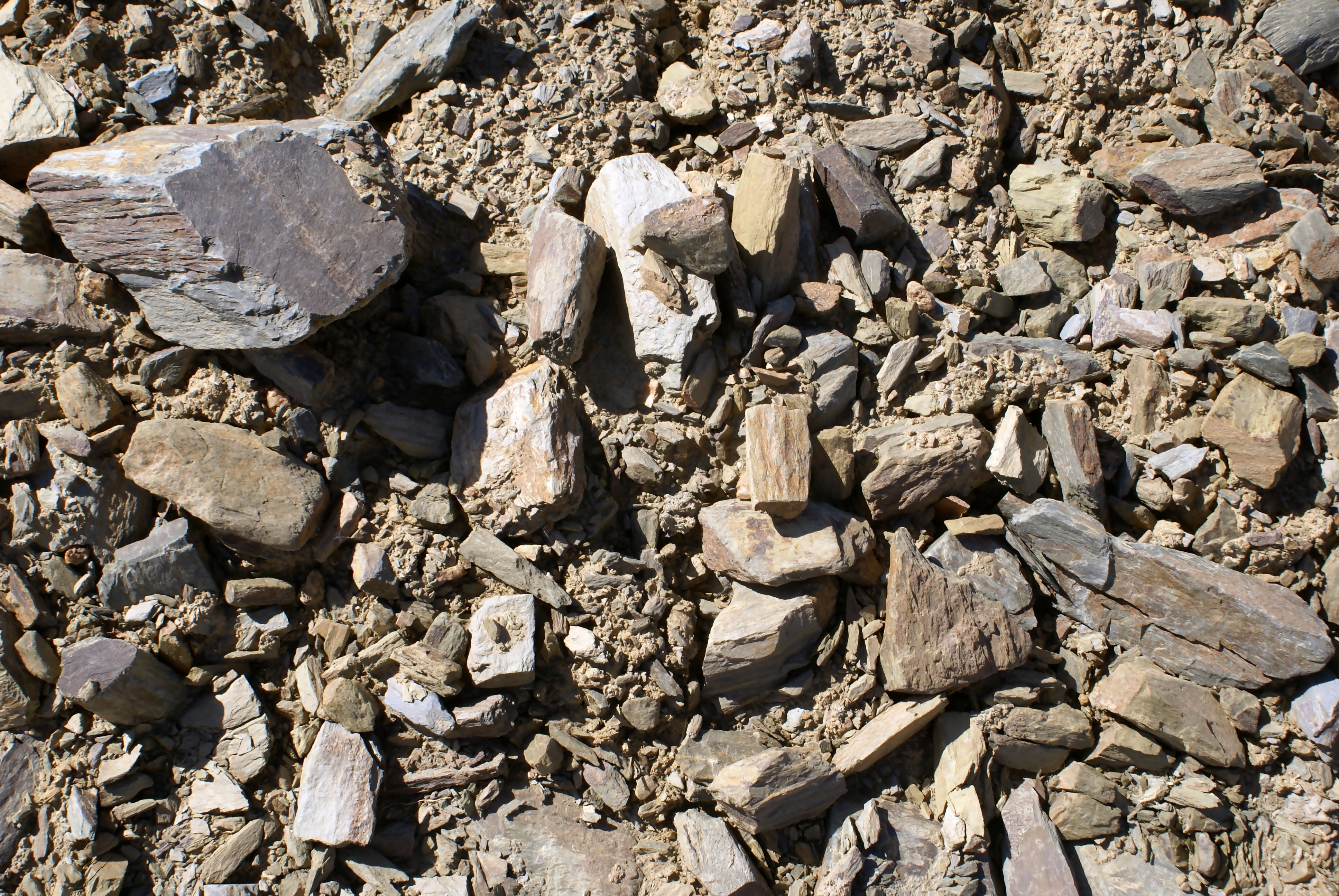 Douro brown schist soil