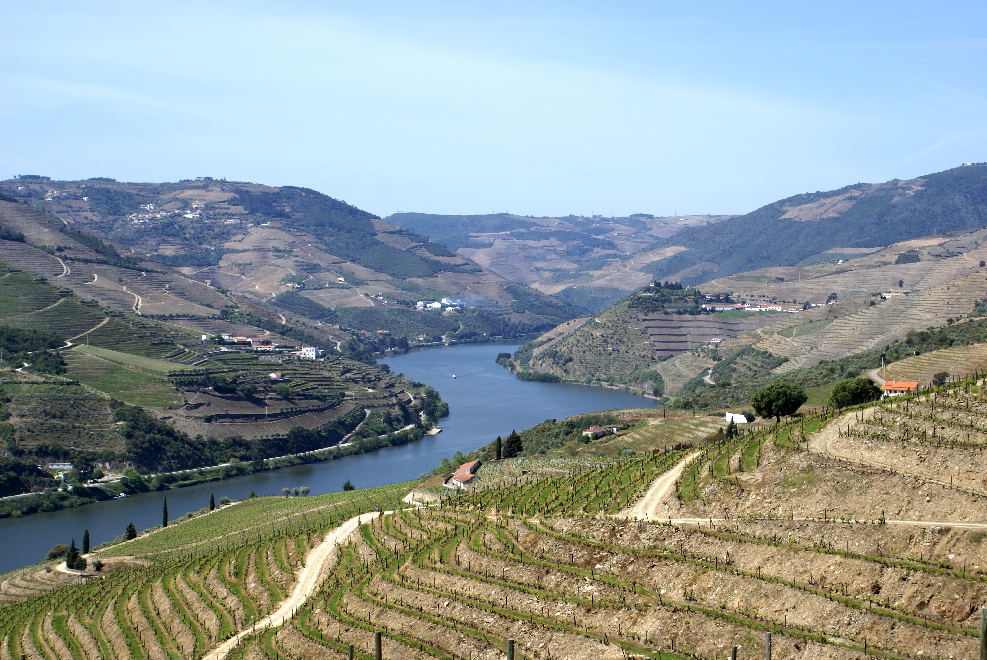 Quinta Nova da Nossa Senhora do Carmo view of Douro vineyards