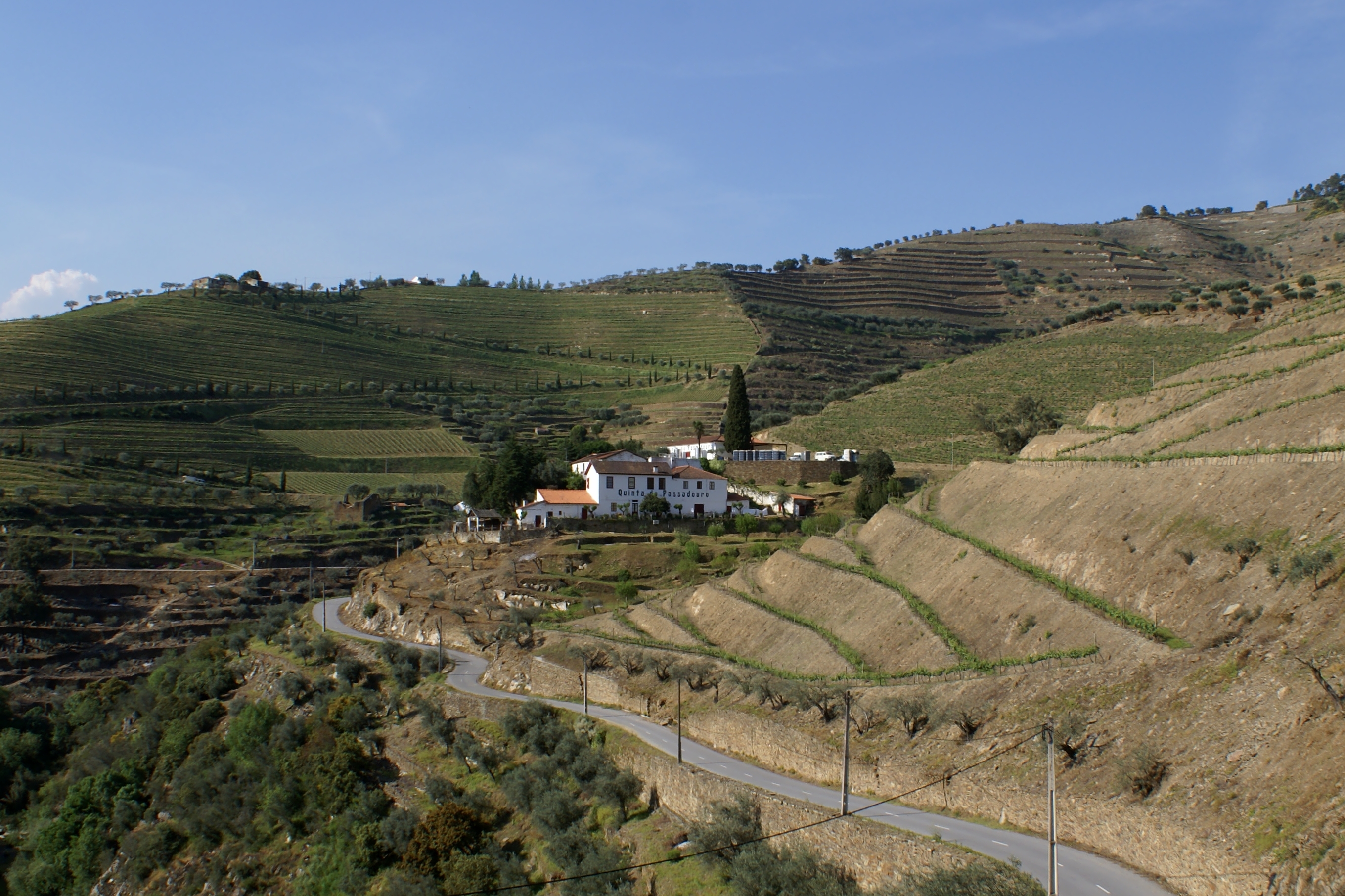 Quinta do Passadouro