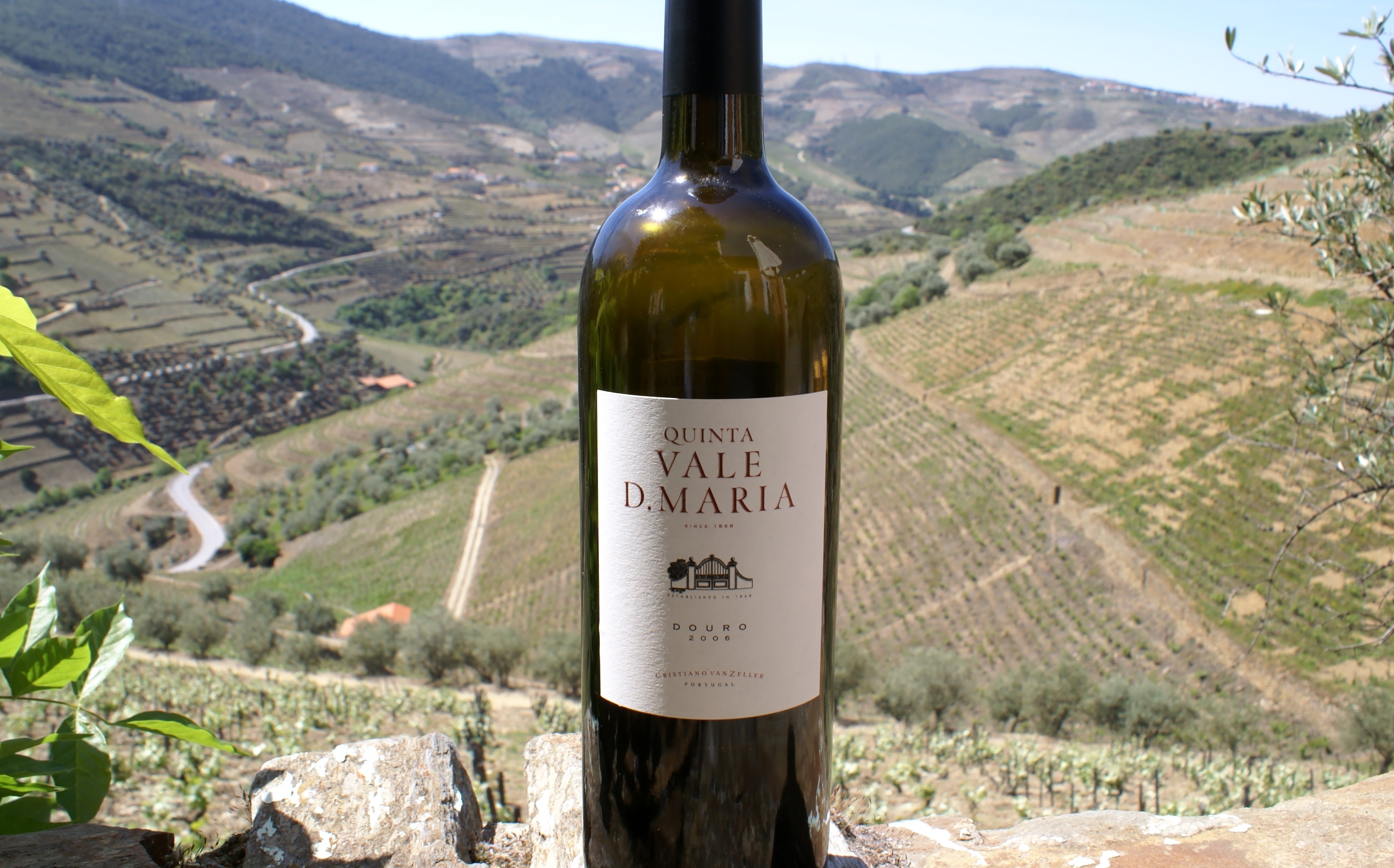 Quinta do Vale Dona Maria Douro Red 2006