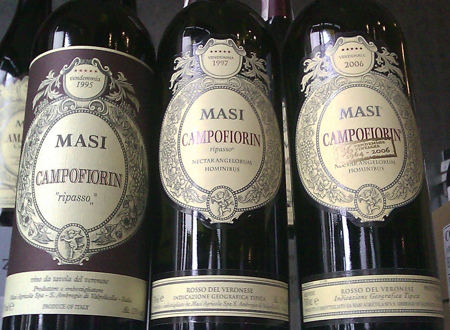 masi campofiorin ripasso 1995 2006