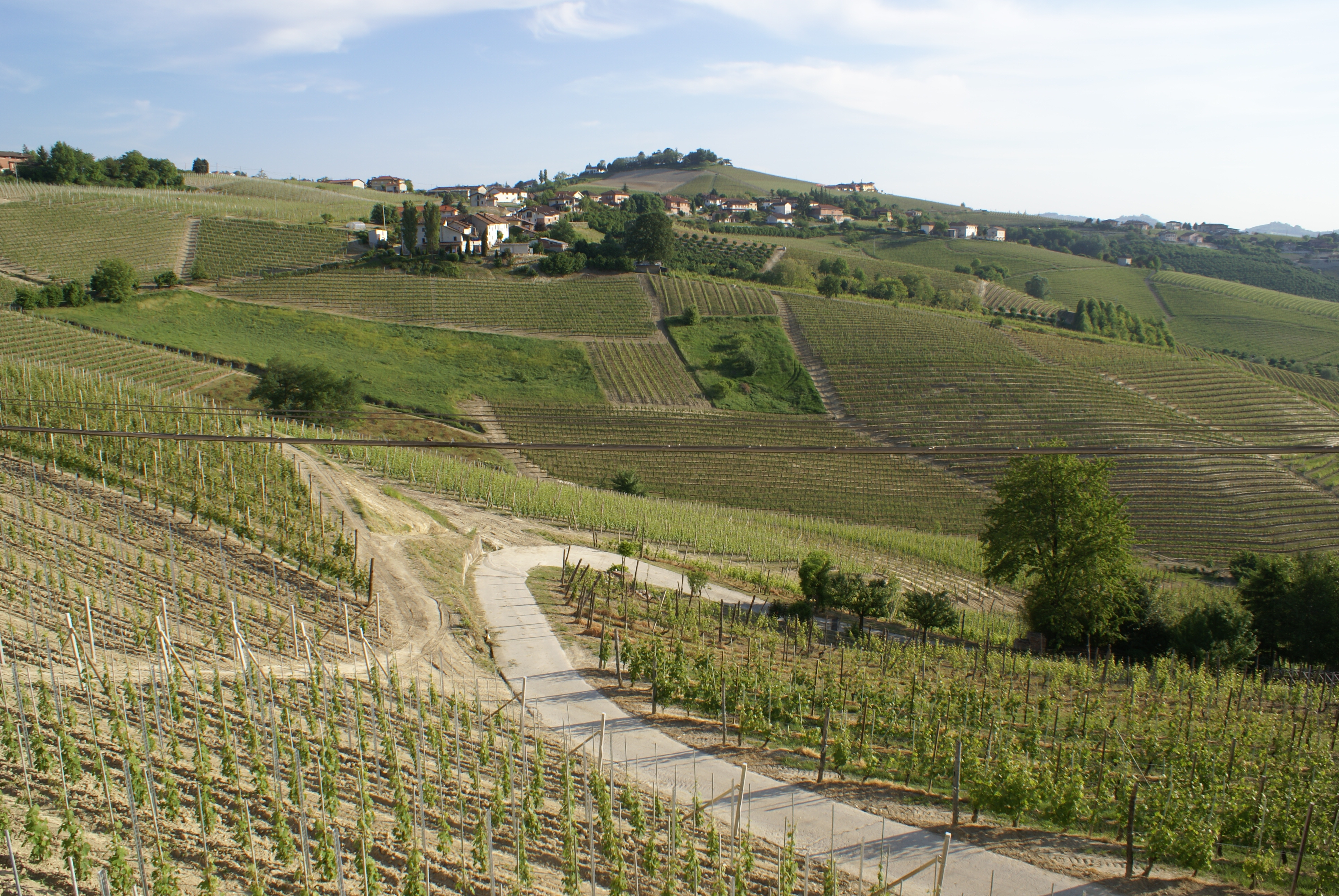 Barbaresco Rabajà