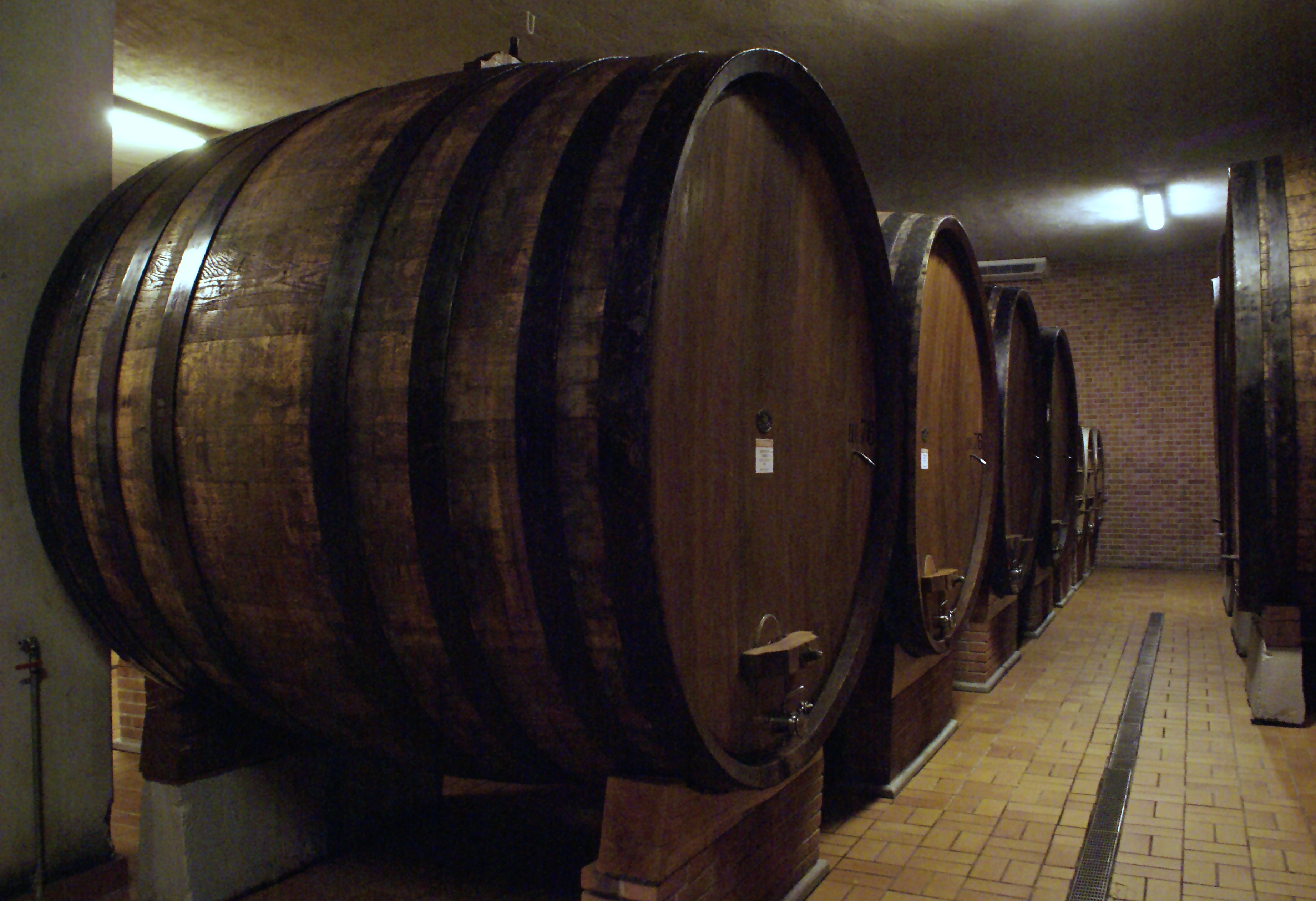 Giacomo Conterno botte barrels