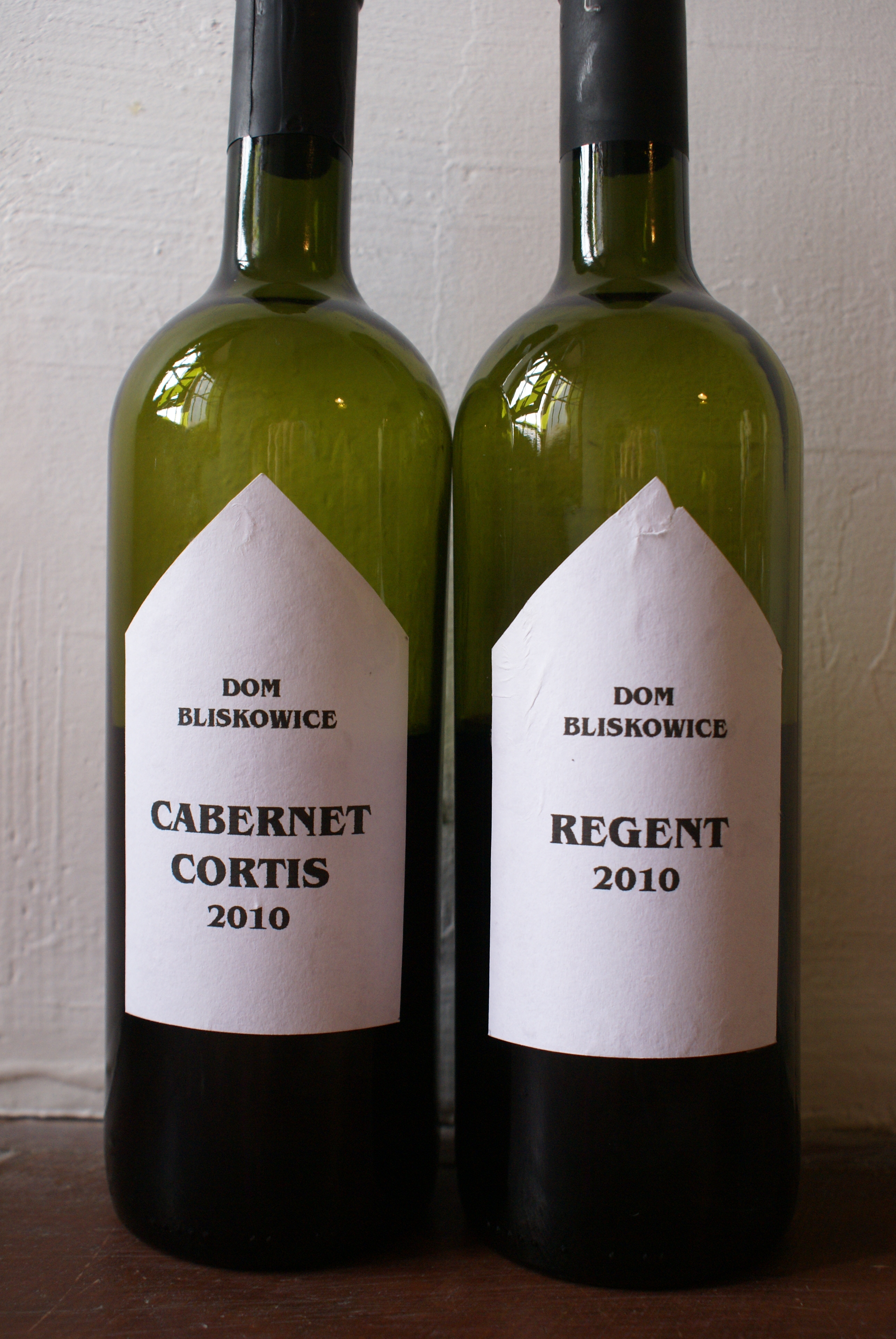 Dom Bliskowice Cabernet Cortis i Regent 2010