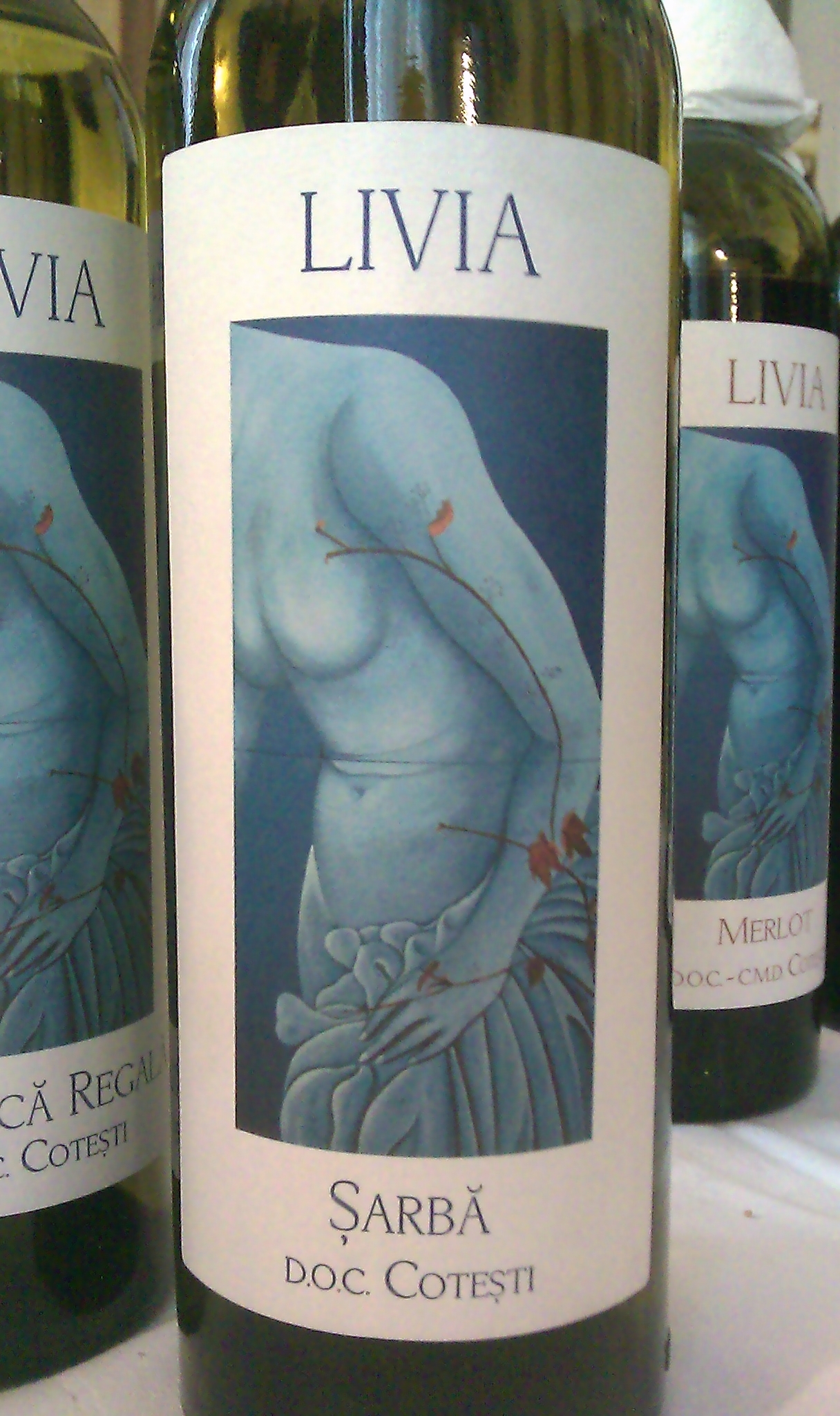 Gîrboiu Coteşti Livia Şarbă 2009