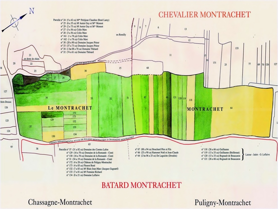 Image1