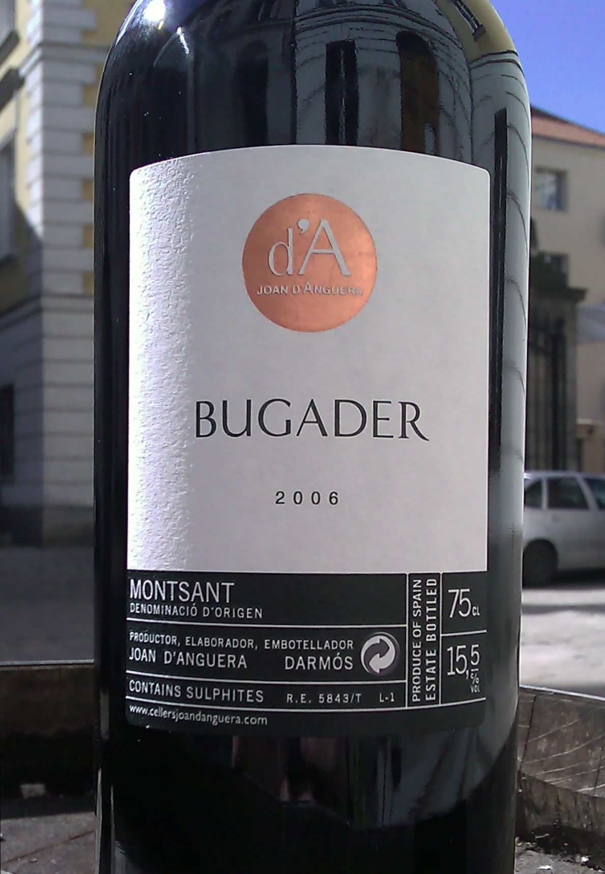 Joan d'Anguera El Bugader 2006